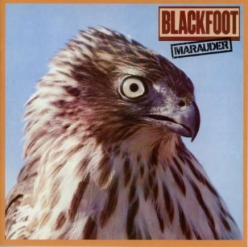 Blackfoot - Marauder LP used