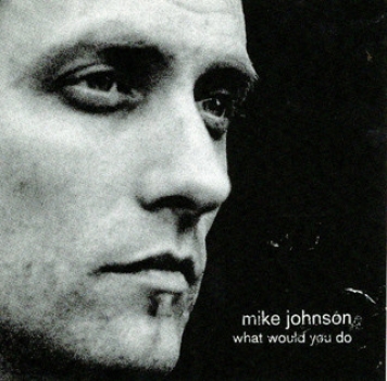 Mike Johnson - What Would You Do CD used