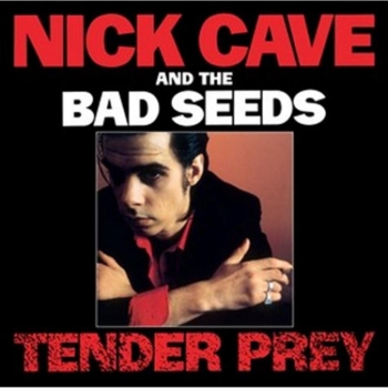 Nick Cave And The Black Seeds - Tender Prey CD+DVD (ltd.) used