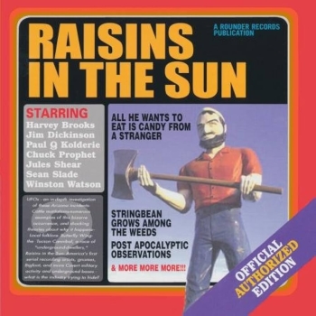 Raisins In The Sun - Raisins In The Sun CD used