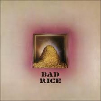 Ron Nagle - Bad Rice LP used