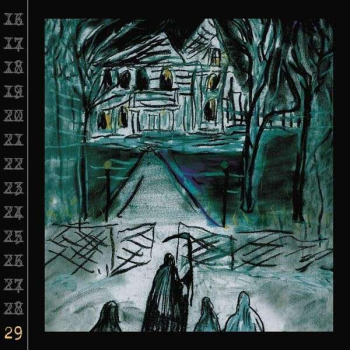 Ryan Adams - 29 CD used