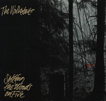 Walkabouts - Setting The Woods On Fire CD used