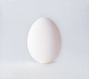 Wilco - A Ghost Is Born (ltd. Edition) 2-CD used