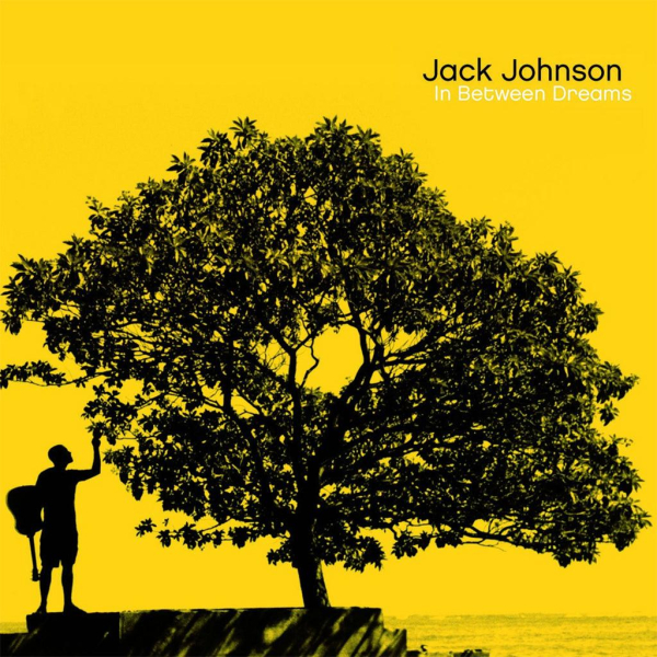 Jack Johnson - In Between Dreams CD used
