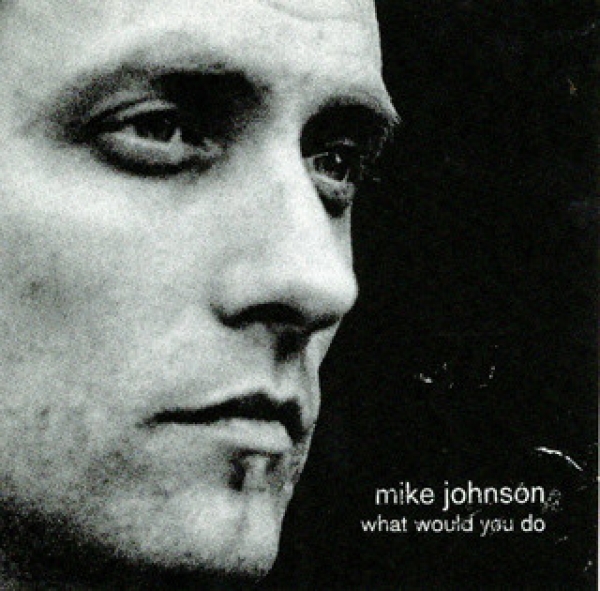 Mike Johnson - What Would You Do CD used