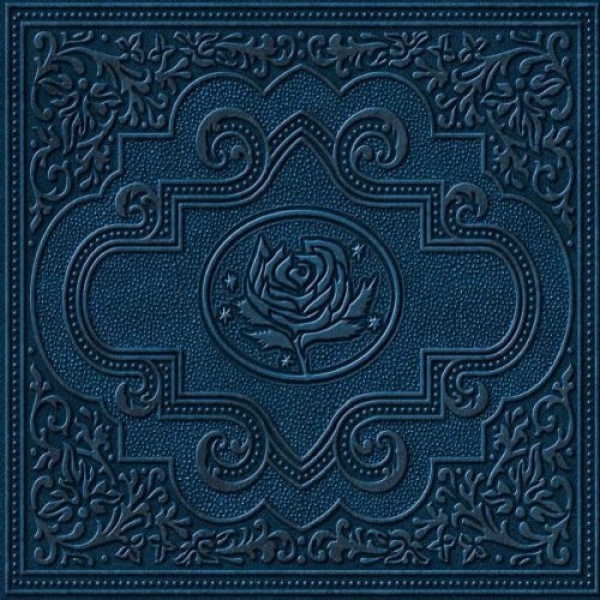 Ryan Adams & The Cardinals - Cold Roses (Jewel Case) 2-CD used