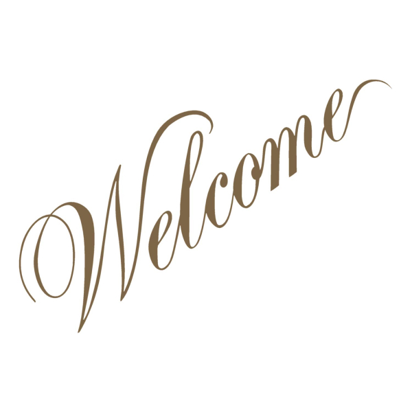 Santana - Welcome LP used