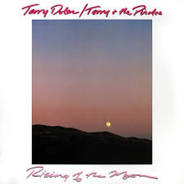 Terry & The Pirates - Rising Of The Moon LP used