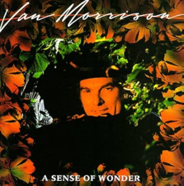 Van Morrison - A Sense Of Wonder LP used